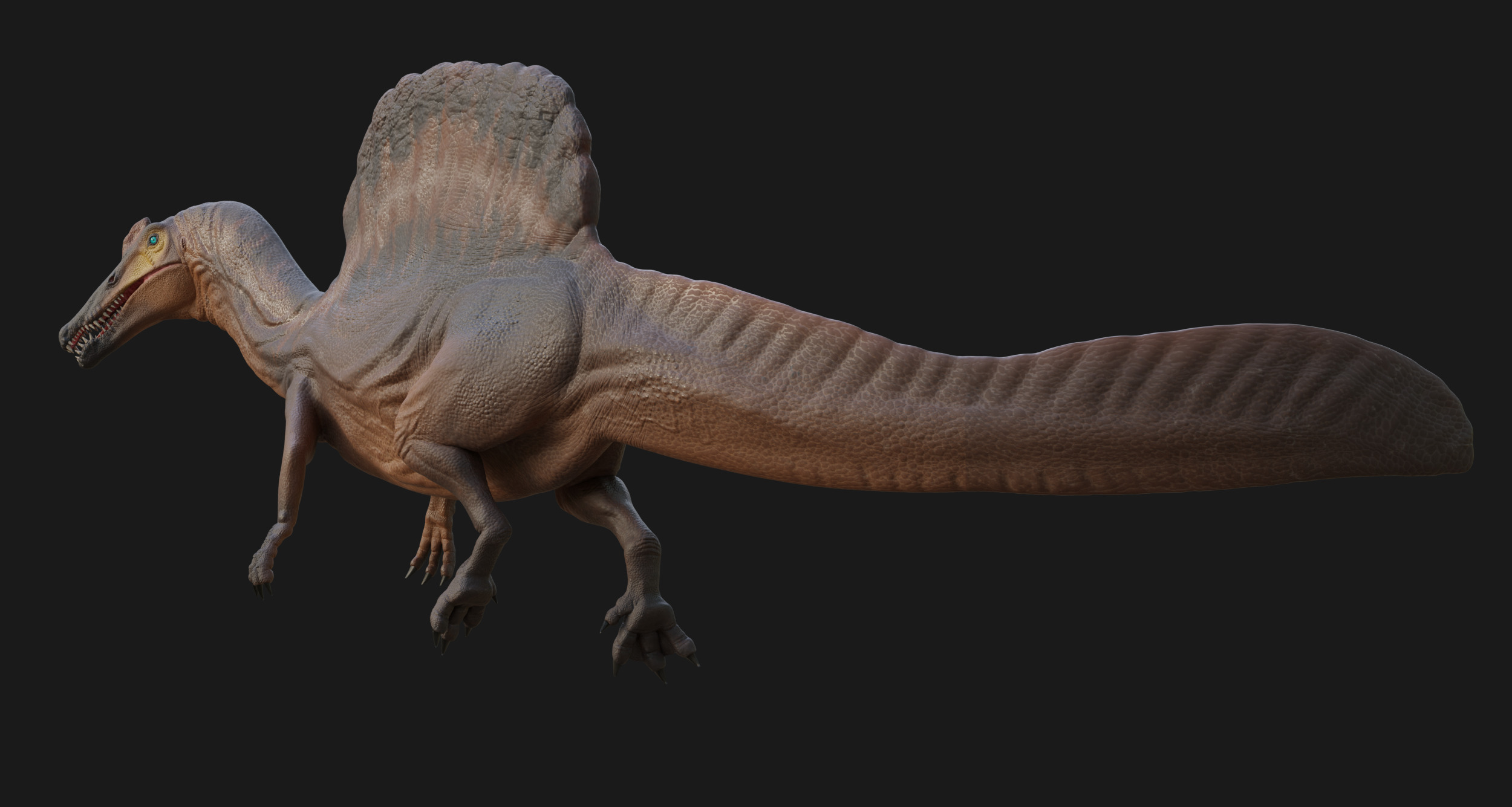 Spinosaurus Low-poly 3D model_7