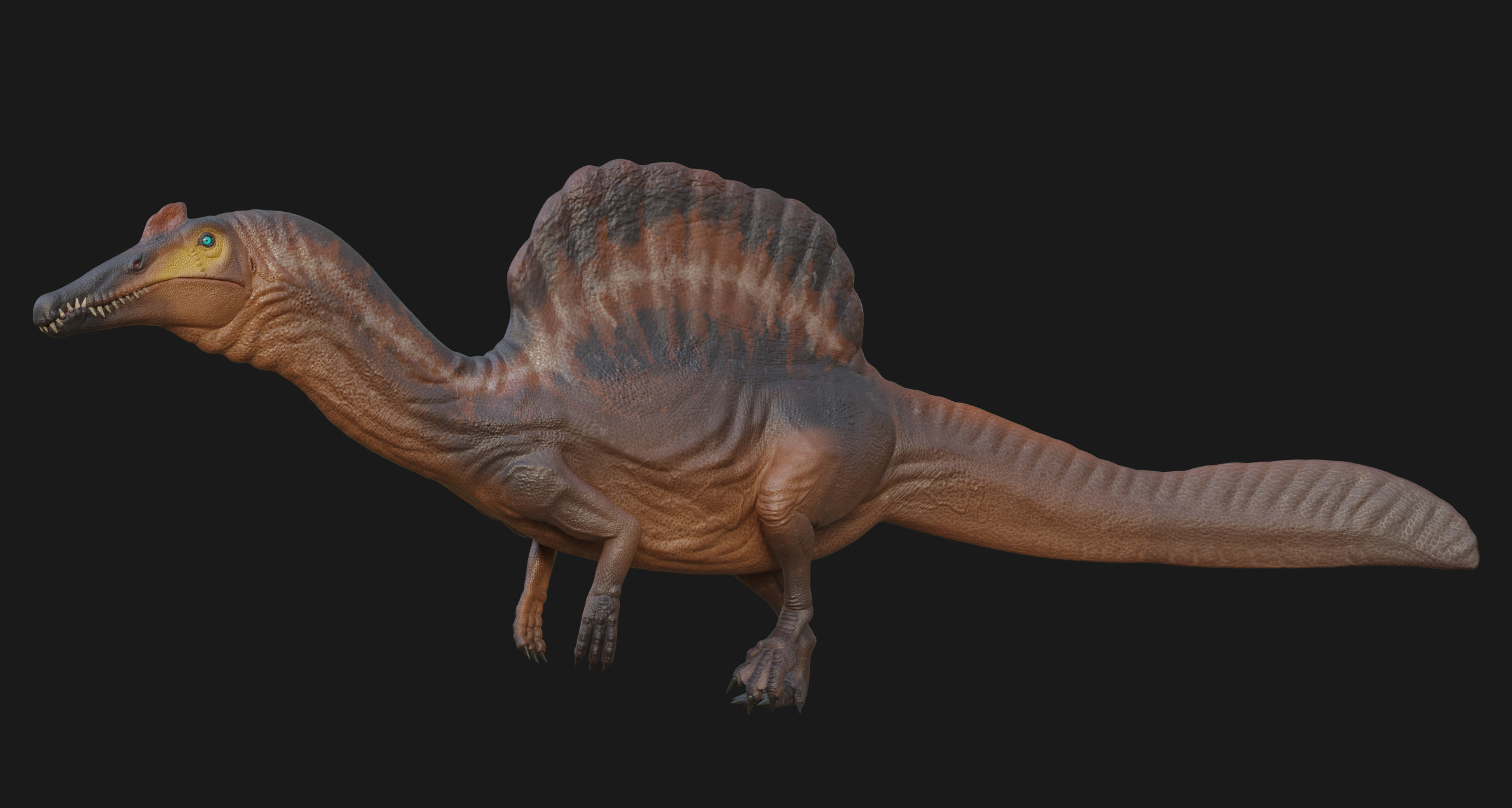 Spinosaurus Low-poly 3D model_1