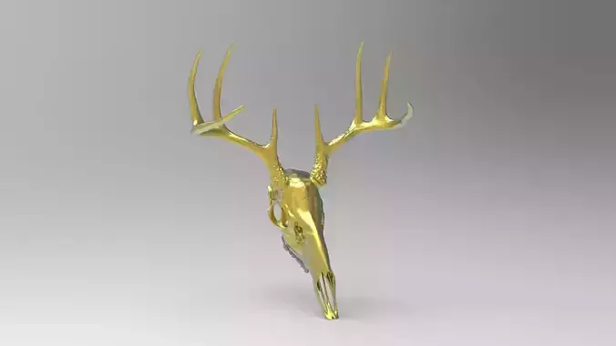 deer skull