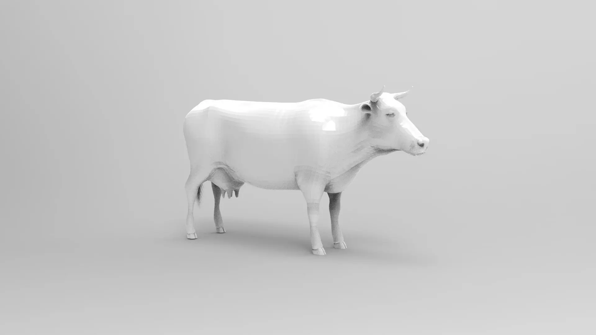 Cow 2 3D model_0