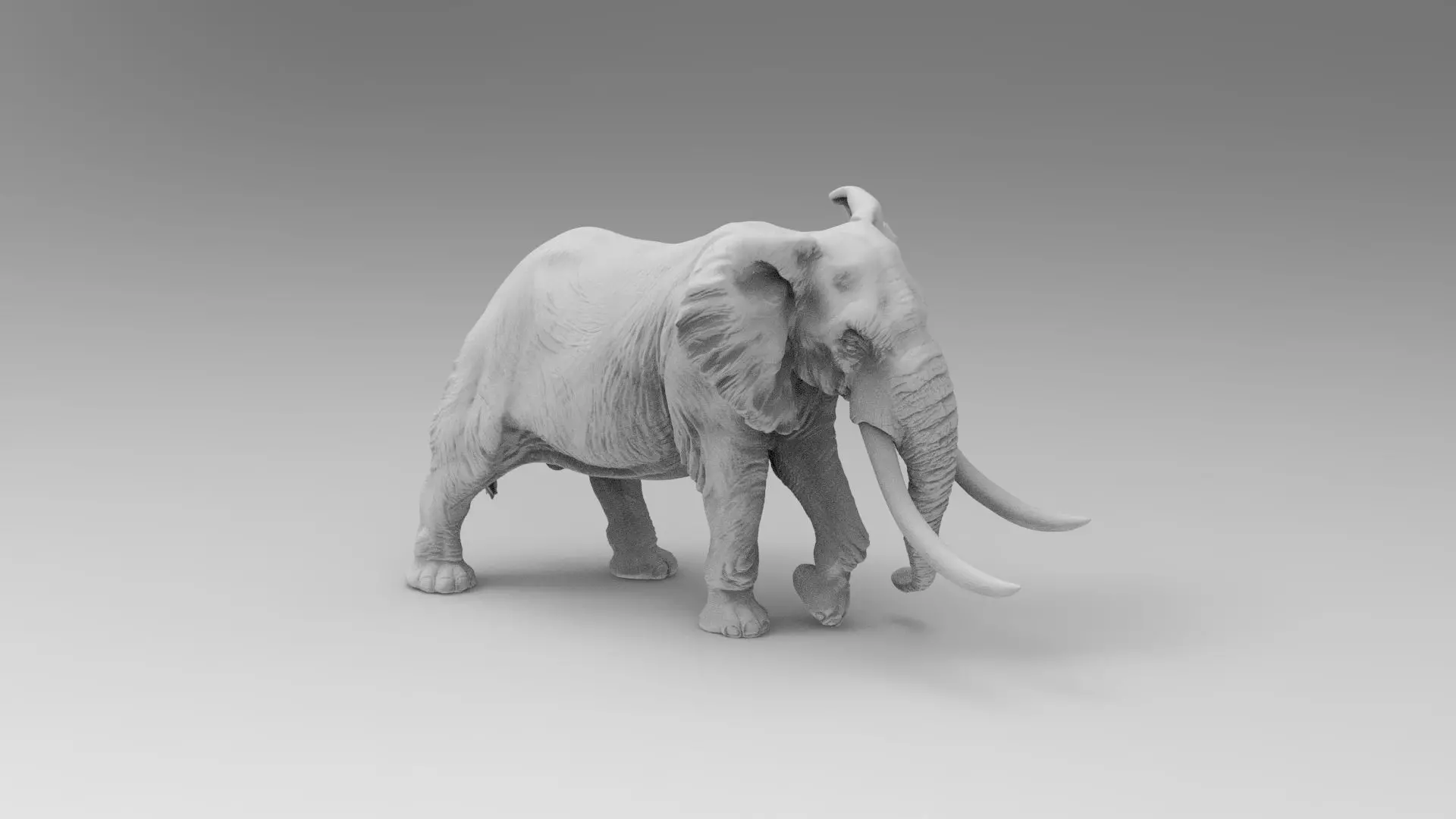 Elephant 3D model_0
