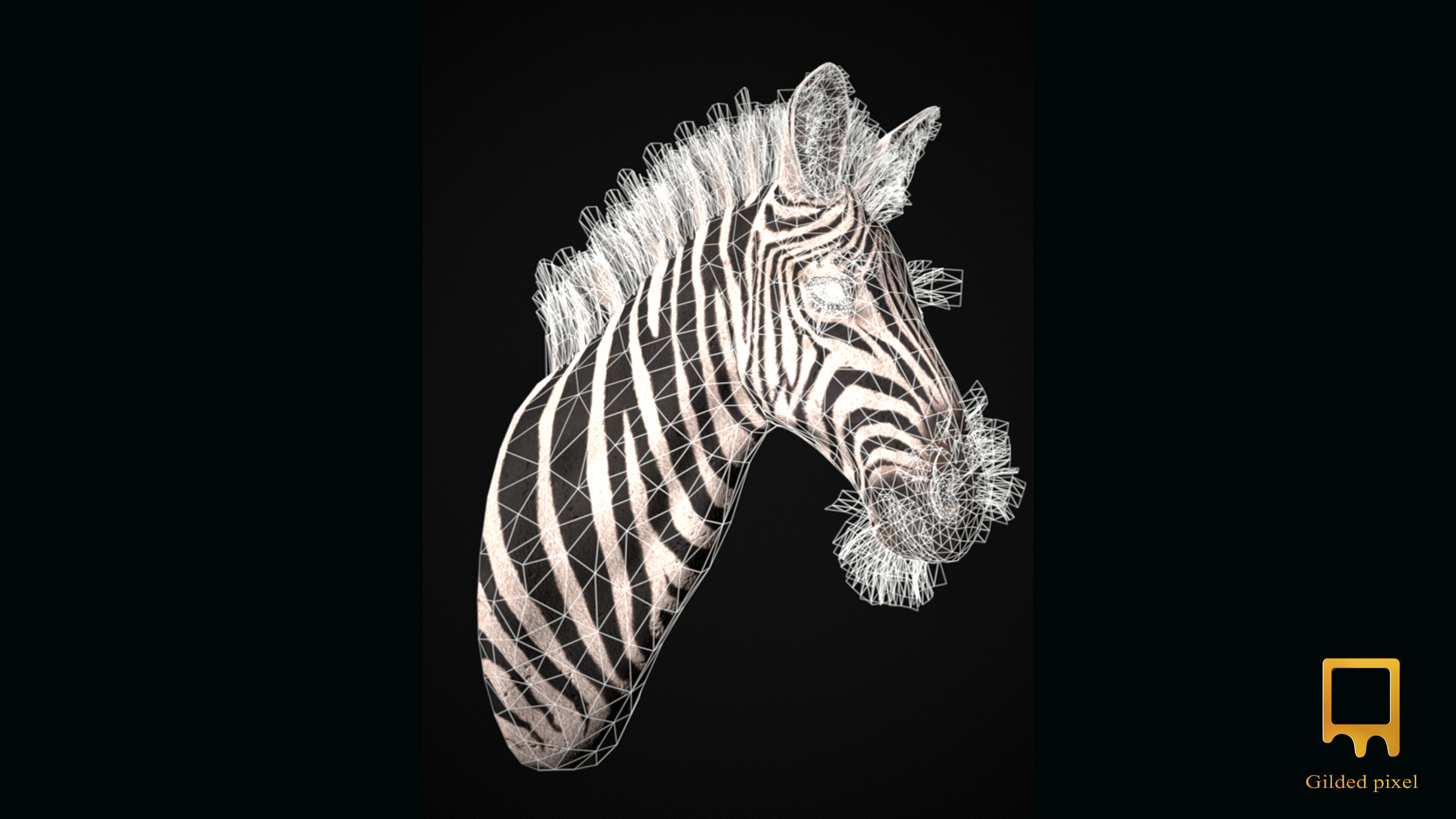 Zebra Trophy Head - Photorealistic PBR Low-poly 3D model_8