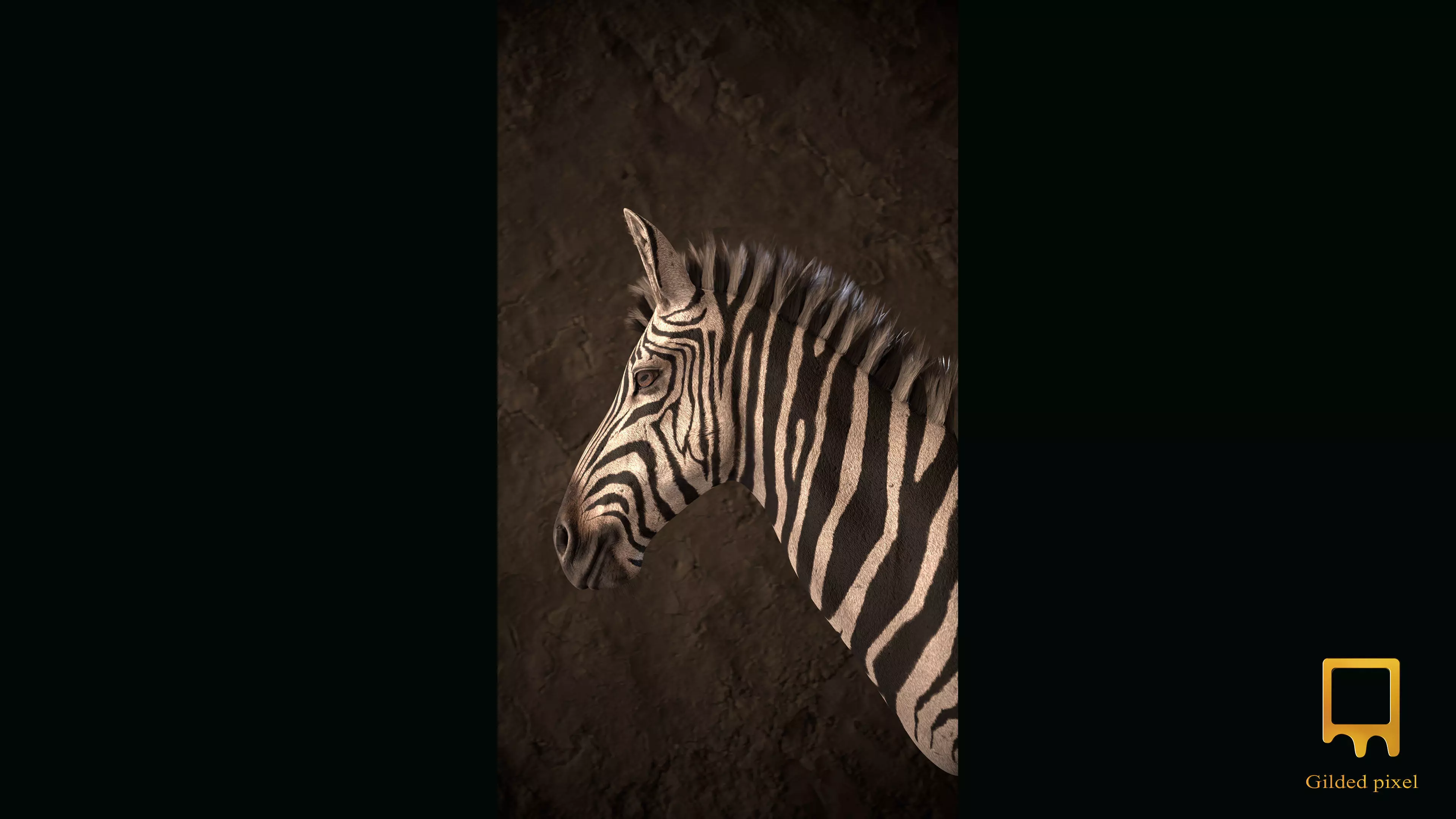 Zebra Trophy Head - Photorealistic PBR Low-poly 3D model_0