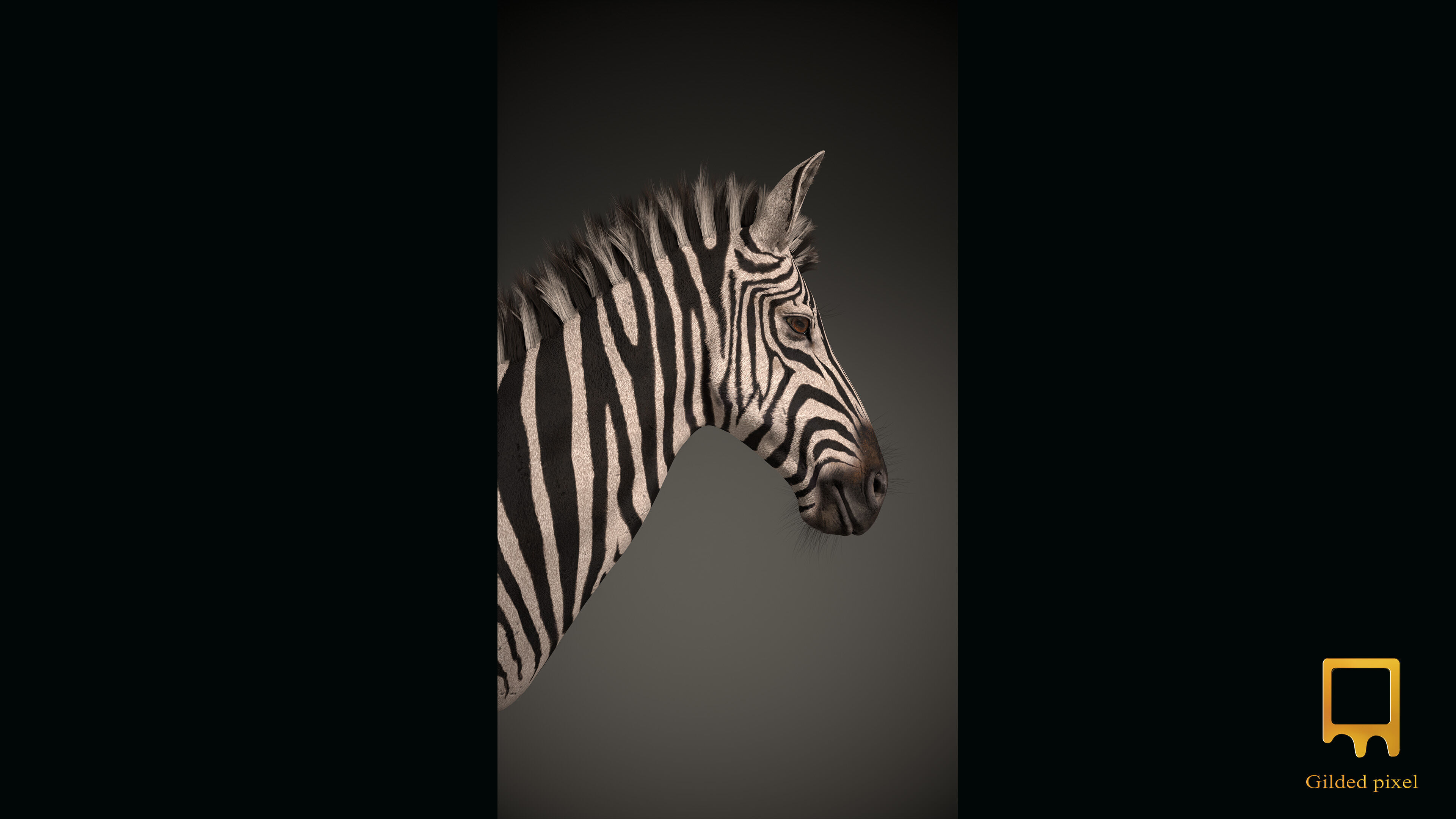 Zebra Trophy Head - Photorealistic PBR Low-poly 3D model_4