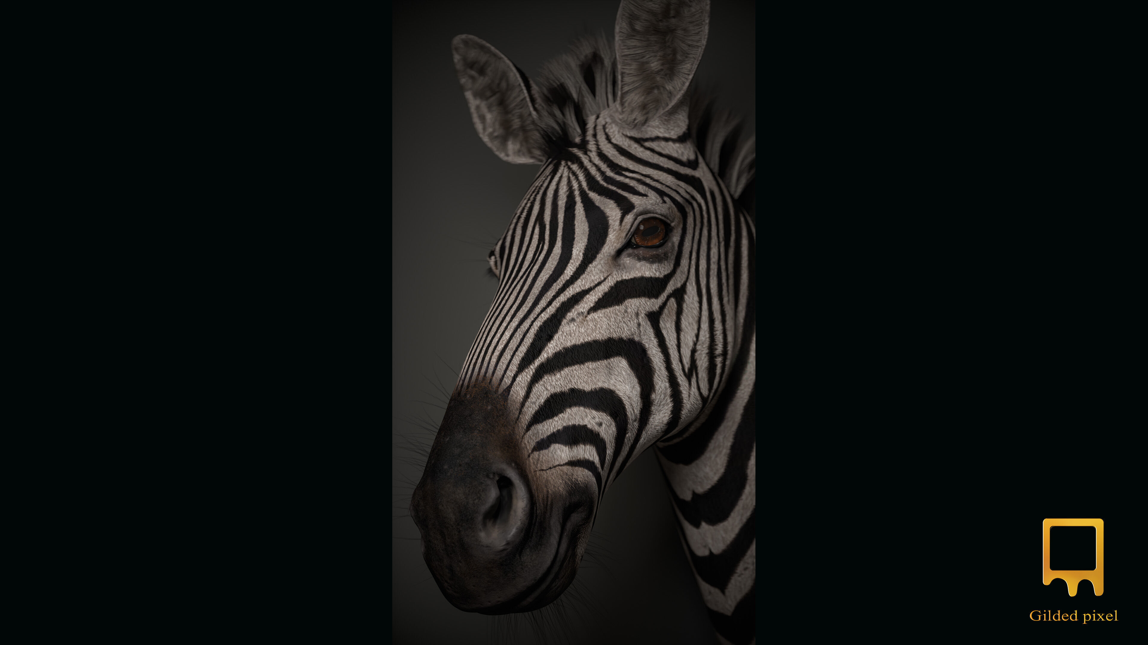 Zebra Trophy Head - Photorealistic PBR Low-poly 3D model_2