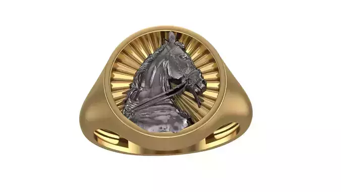 Horse Ring 2025
