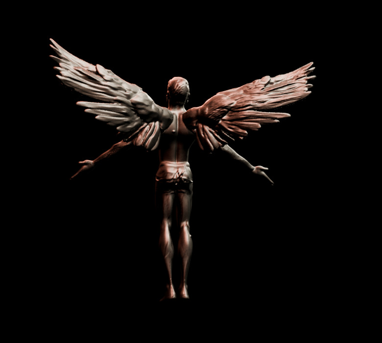 Male Angel Basemesh 3D print model_3