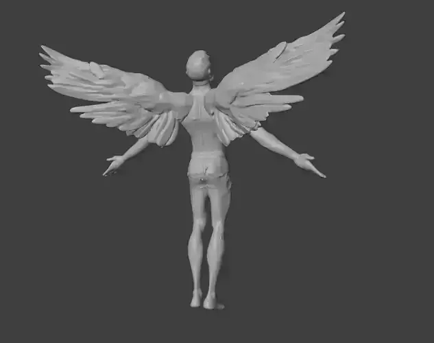 Male Angel Basemesh