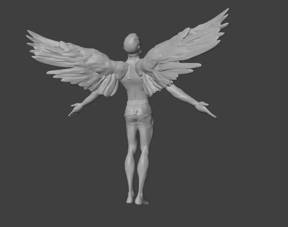 Male Angel Basemesh 3D print model_0