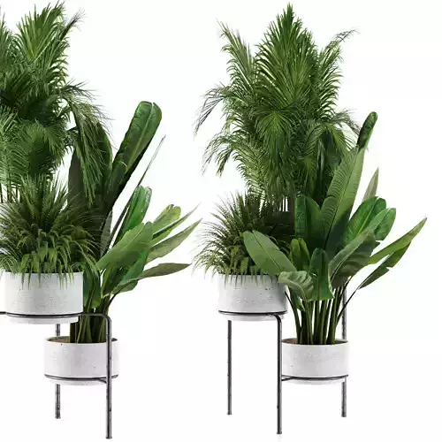 Indoor plant In Rusty stand concrete pot  set-90