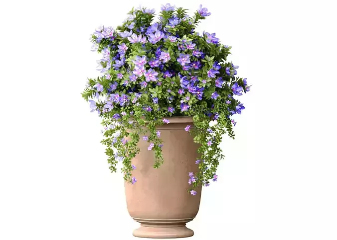 Petunia flower bed bouquet plant in decorative vase pot