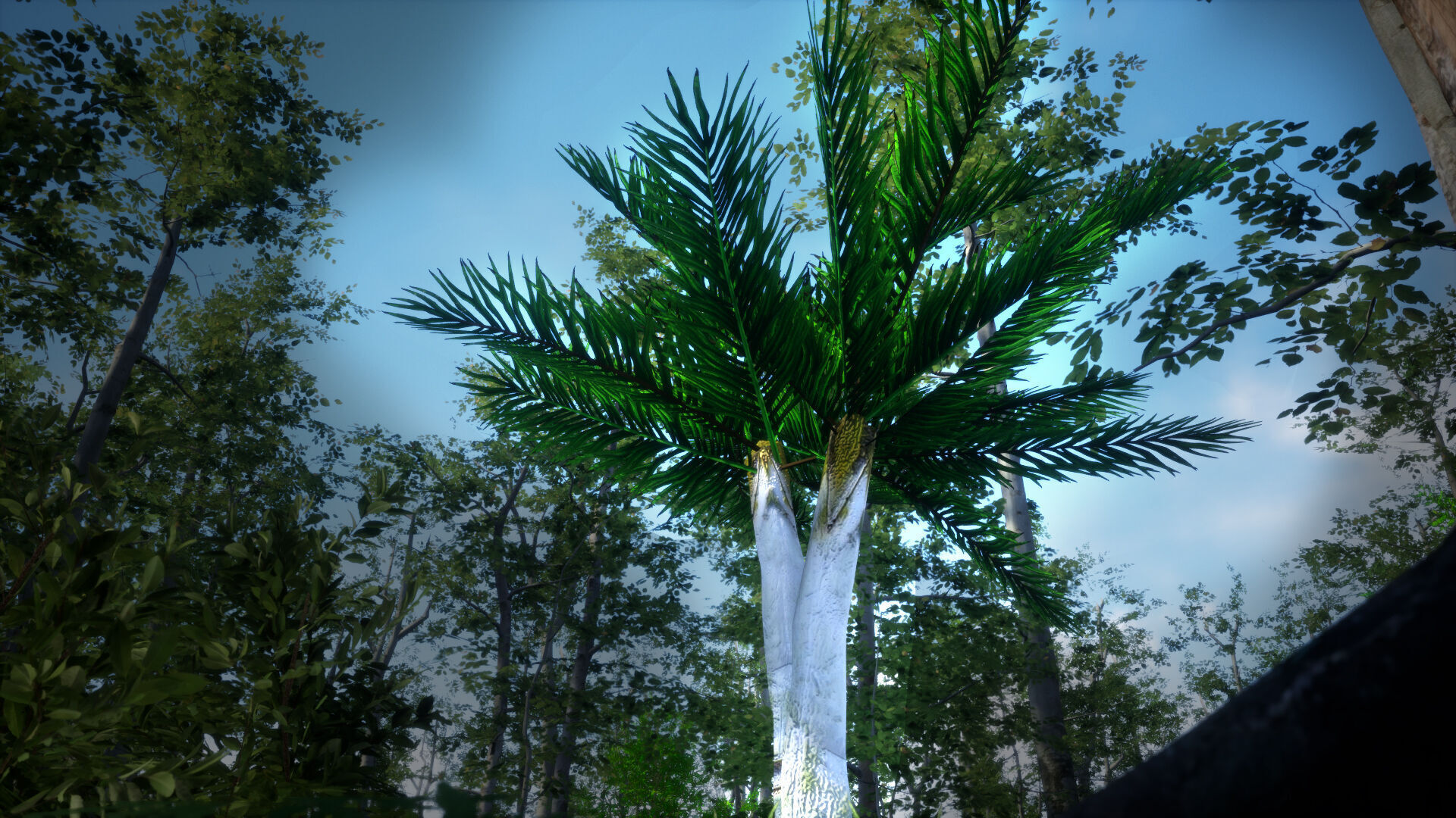 Critically Endangered Plant - 4 Dypsis ambositrae Tree Model Low-poly 3D model_2