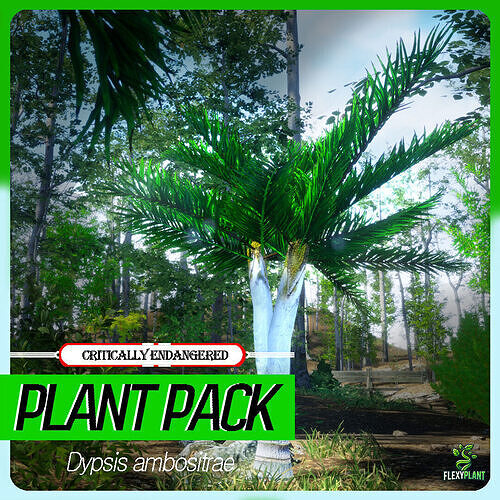 Critically Endangered Plant - 4 Dypsis ambositrae Tree Model Low-poly 3D model
