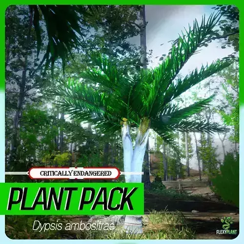 Critically Endangered Plant - 4 Dypsis ambositrae Tree Model