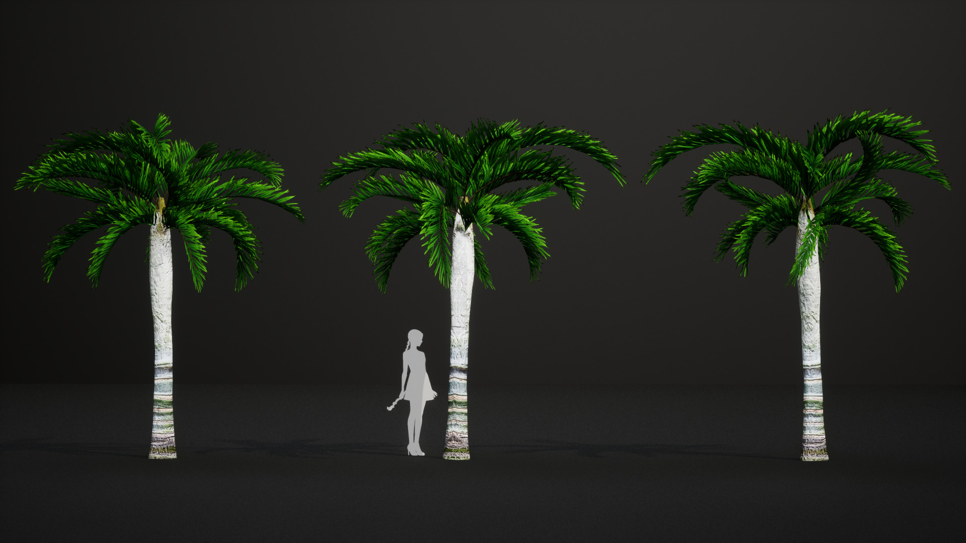 Critically Endangered Plant - 4 Dypsis ambositrae Tree Model Low-poly 3D model_6