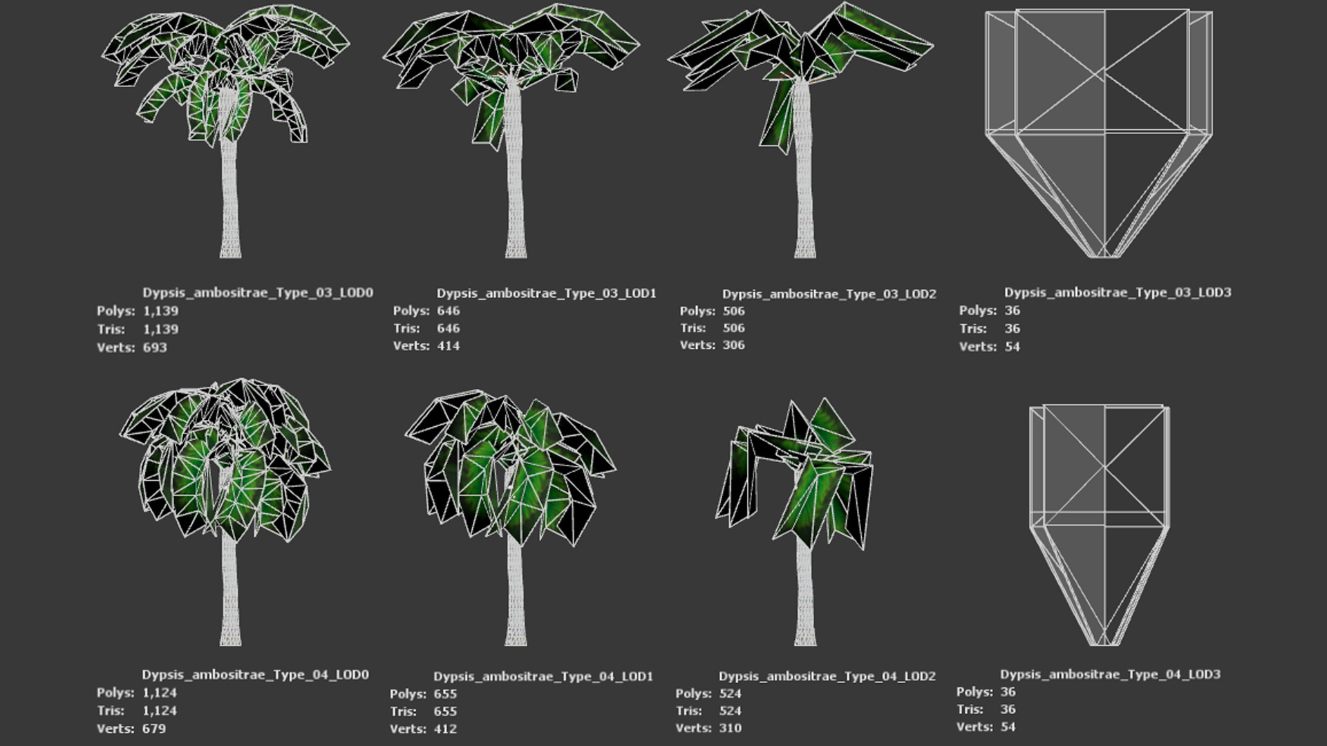 Critically Endangered Plant - 4 Dypsis ambositrae Tree Model Low-poly 3D model_9