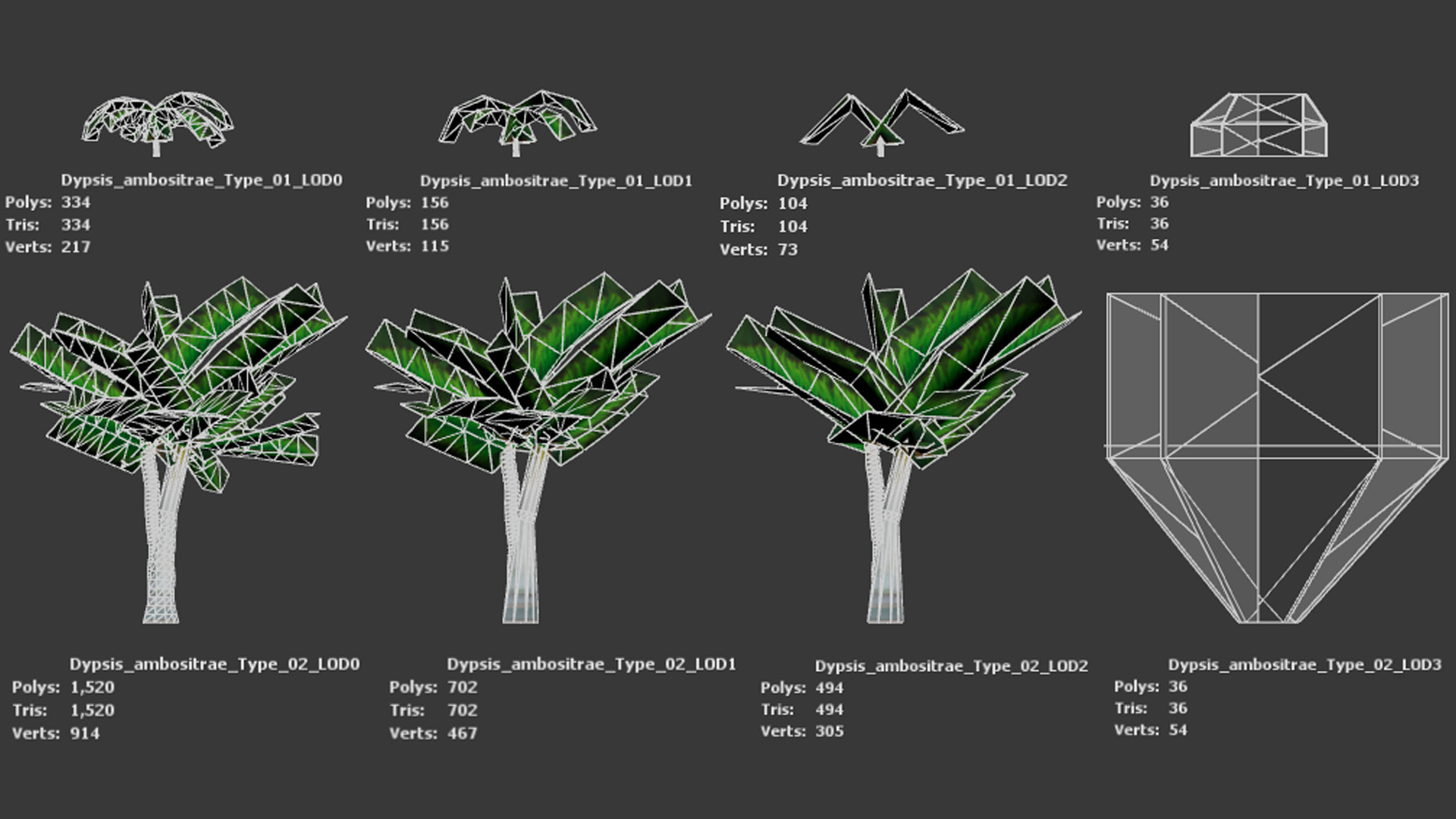 Critically Endangered Plant - 4 Dypsis ambositrae Tree Model Low-poly 3D model_8