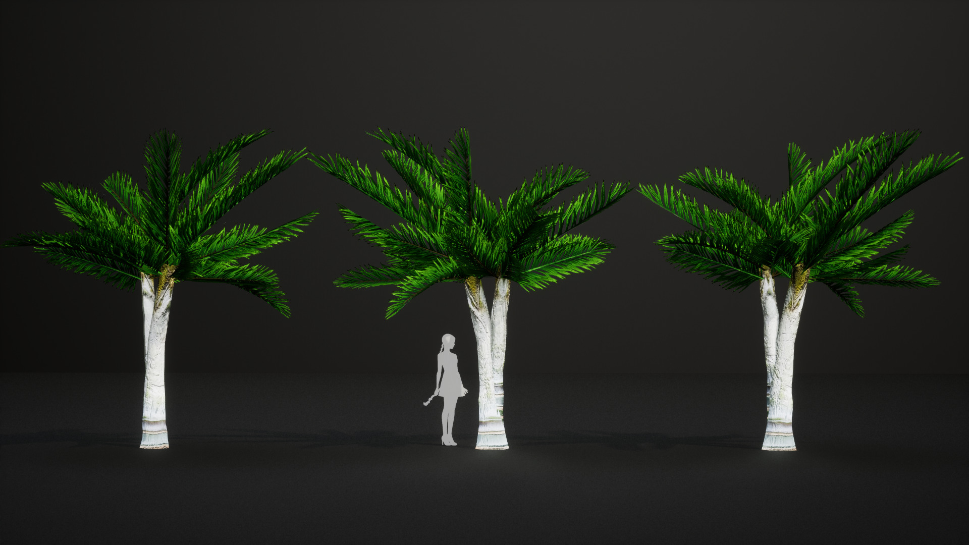 Critically Endangered Plant - 4 Dypsis ambositrae Tree Model Low-poly 3D model_5