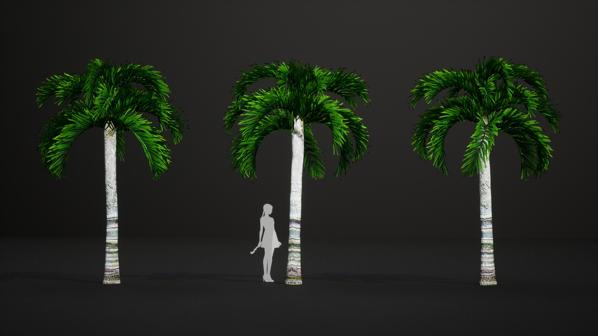 Critically Endangered Plant - 4 Dypsis ambositrae Tree Model Low-poly 3D model_7