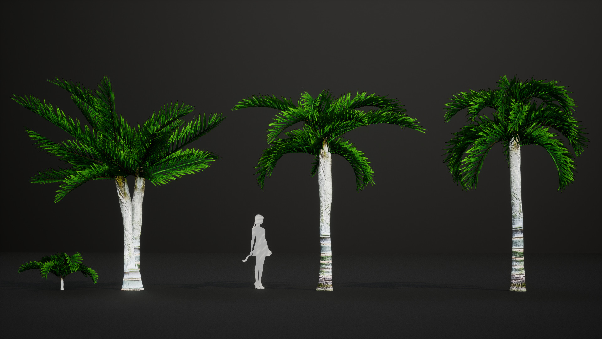 Critically Endangered Plant - 4 Dypsis ambositrae Tree Model Low-poly 3D model_3