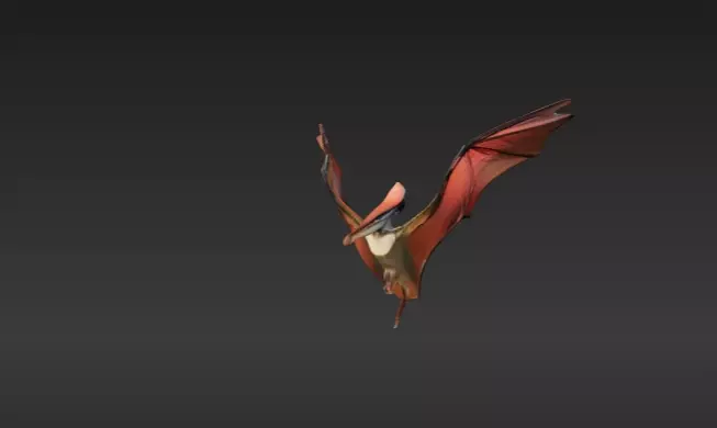 Bird 5 by Tripo Free 3D model