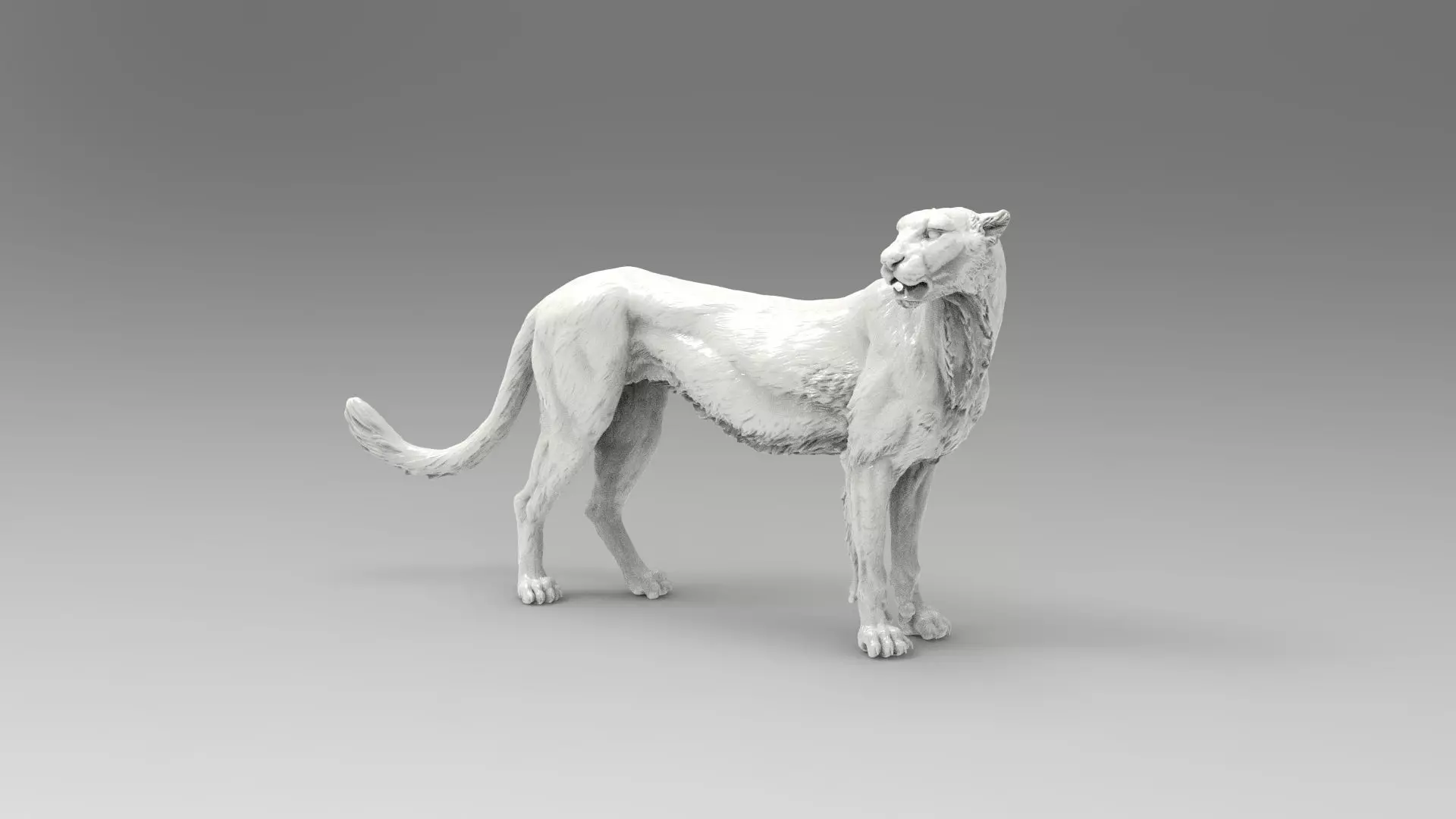 cheetah 3D model_0