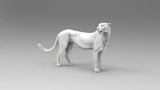 cheetah 3D model