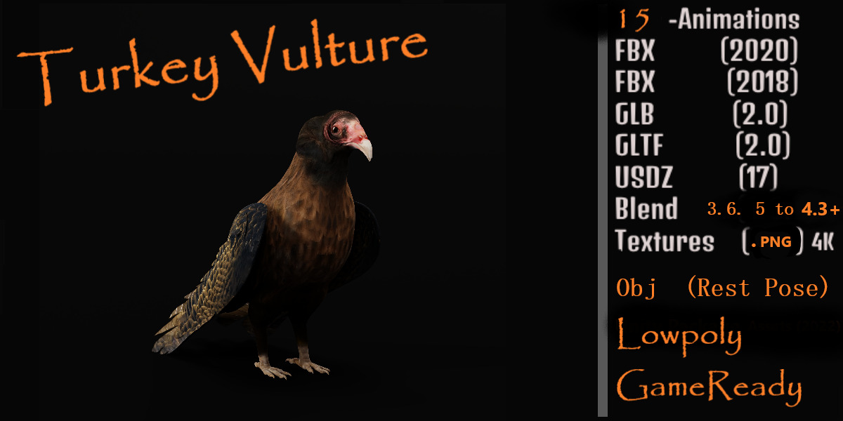Turkey Black Vulture Low-poly 3D model_2