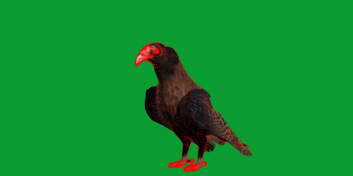 Turkey Black Vulture Low-poly 3D model_21
