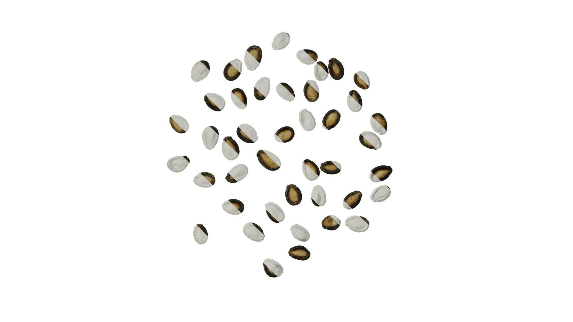 Anydrafts Watermelon seeds 01 Texture