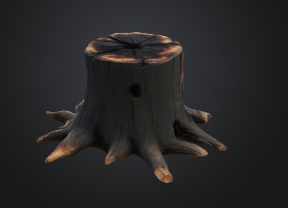Burn Tree Stump 3D model_1