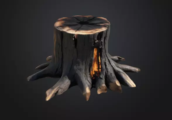 Burn Tree Stump 3D model_0