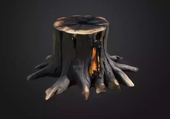 Burn Tree Stump 3D model
