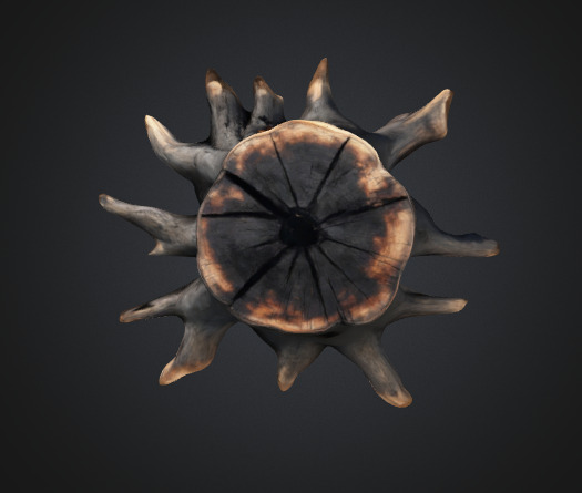 Burn Tree Stump 3D model_2