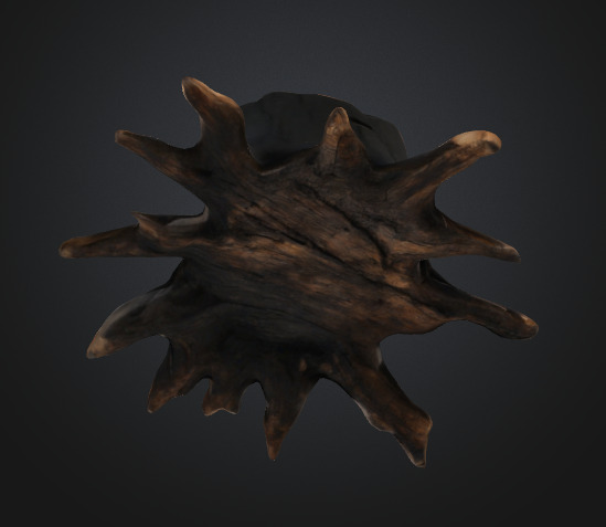 Burn Tree Stump 3D model_3
