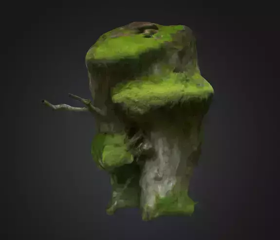 Moss Old Tree Trunk 3D model