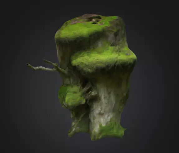 Moss Old Tree Trunk 3D model_0