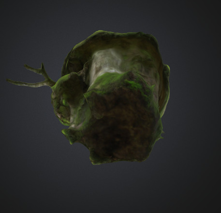 Moss Old Tree Trunk 3D model_4