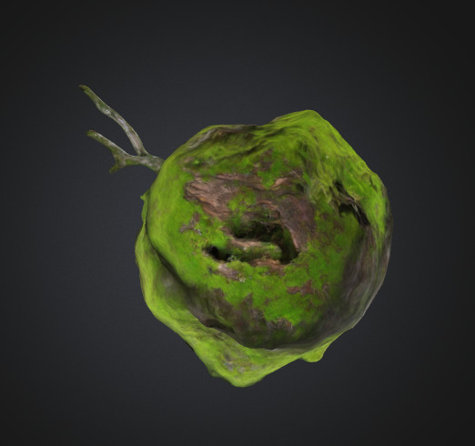 Moss Old Tree Trunk 3D model_3