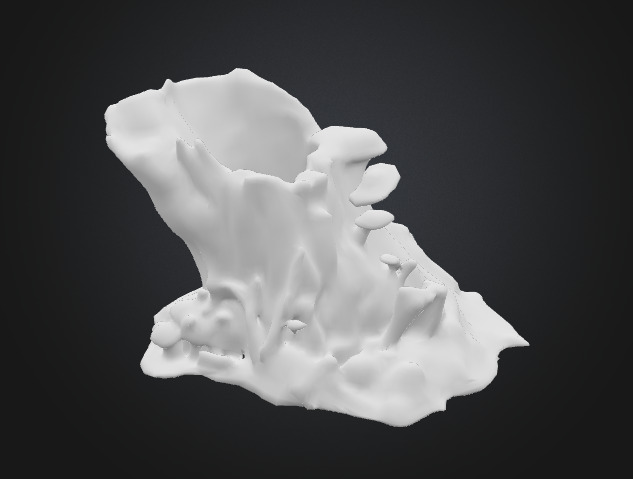 Tree Stump Fungi 3D model_5