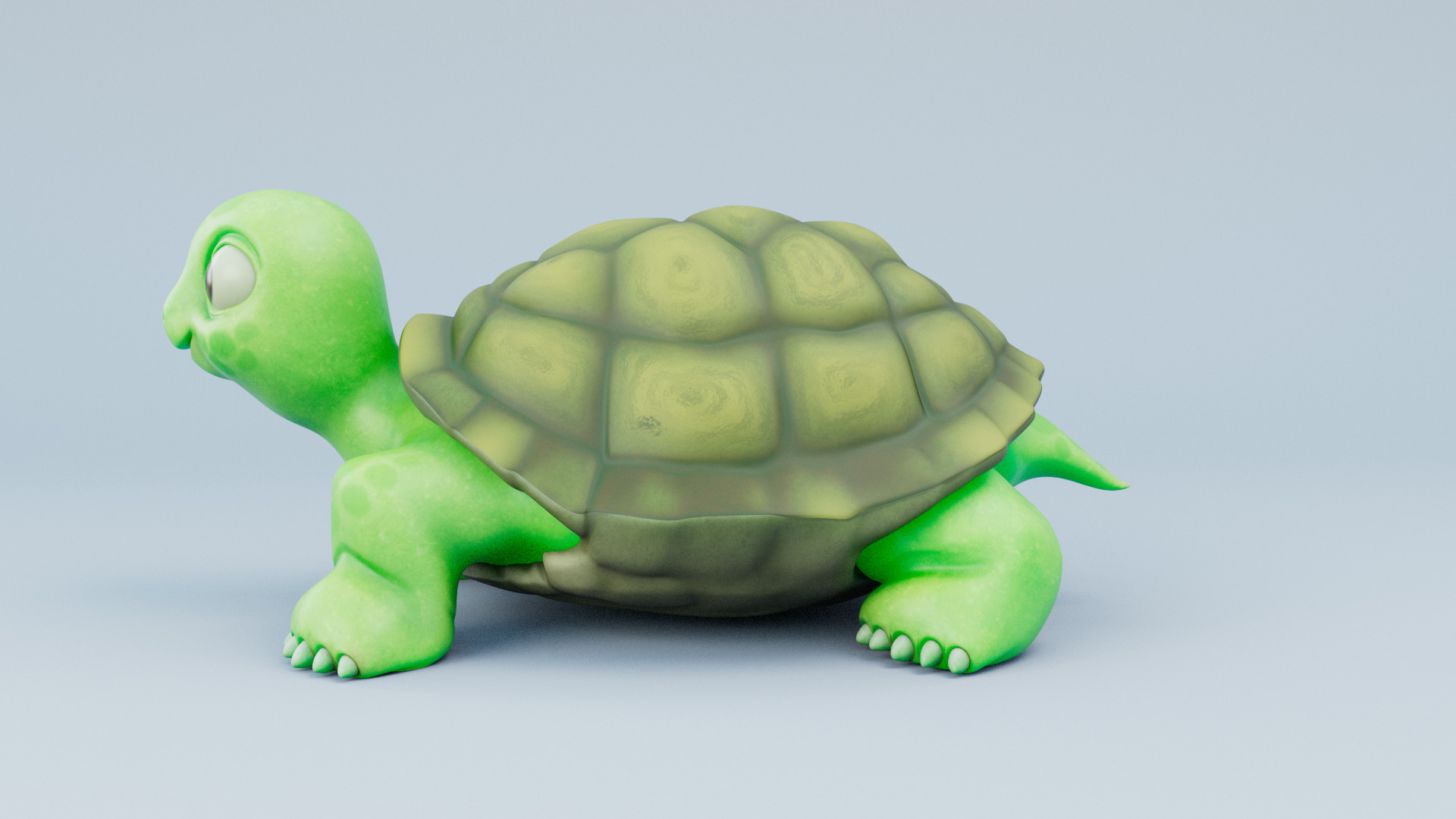 Cartoon Turtle 3d Model 3D model_4