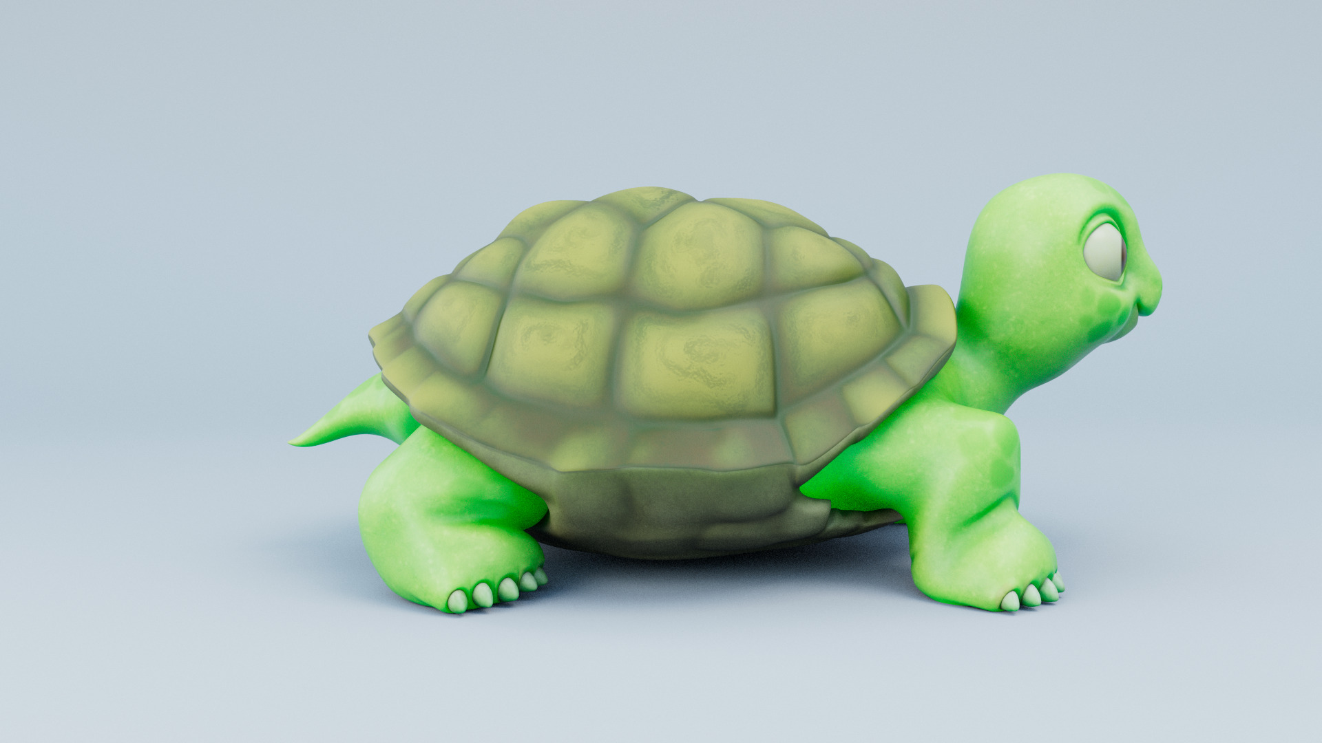 Cartoon Turtle 3d Model 3D model_2