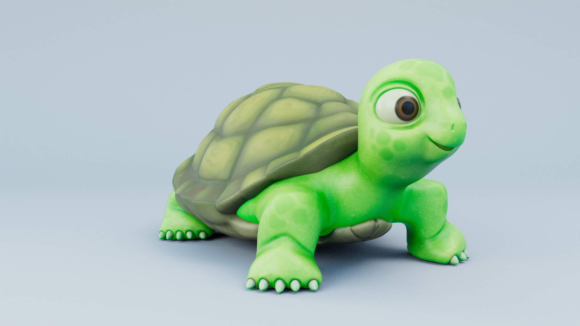 Cartoon Turtle 3d Model 3D model_1