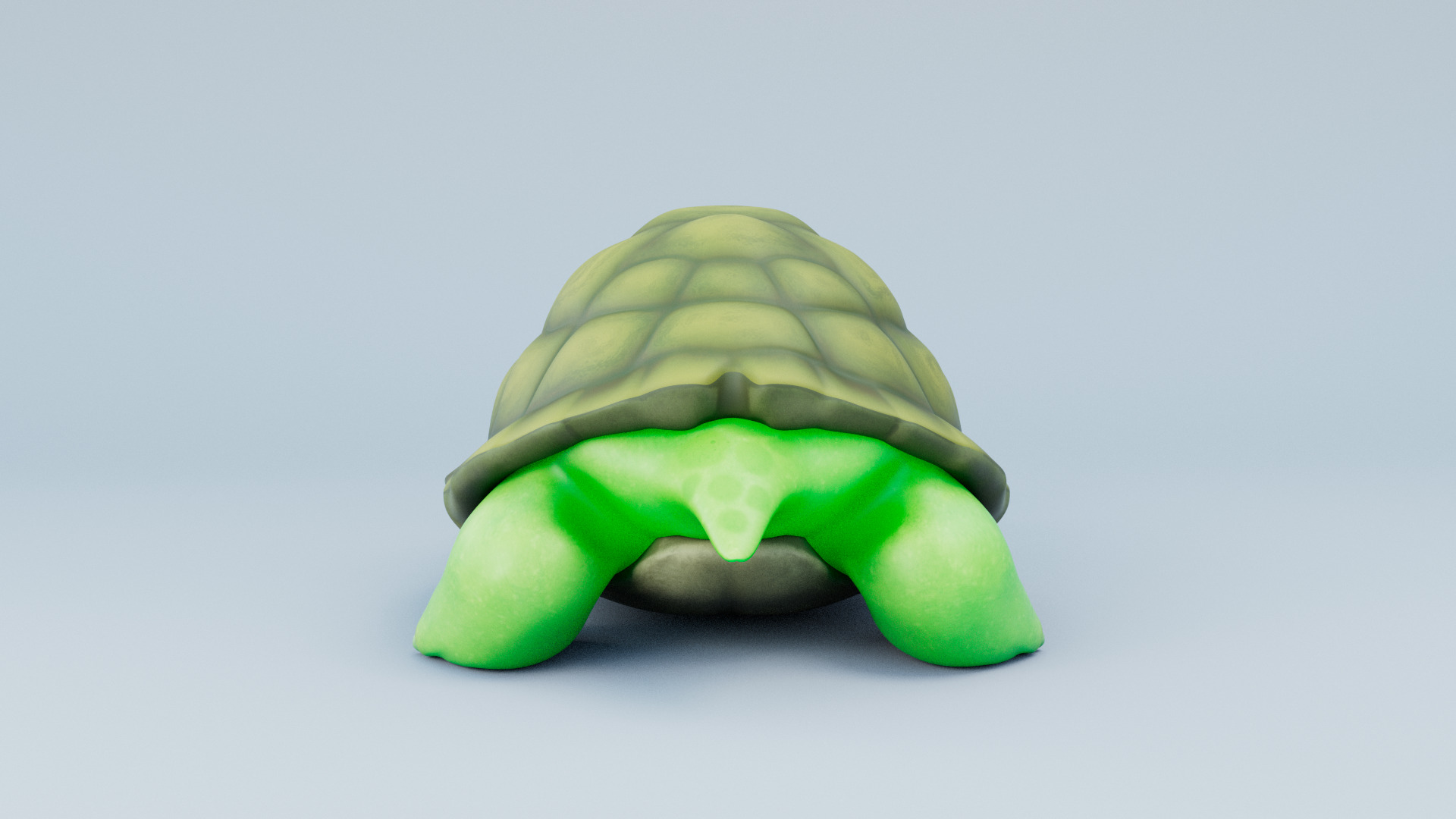 Cartoon Turtle 3d Model 3D model_3