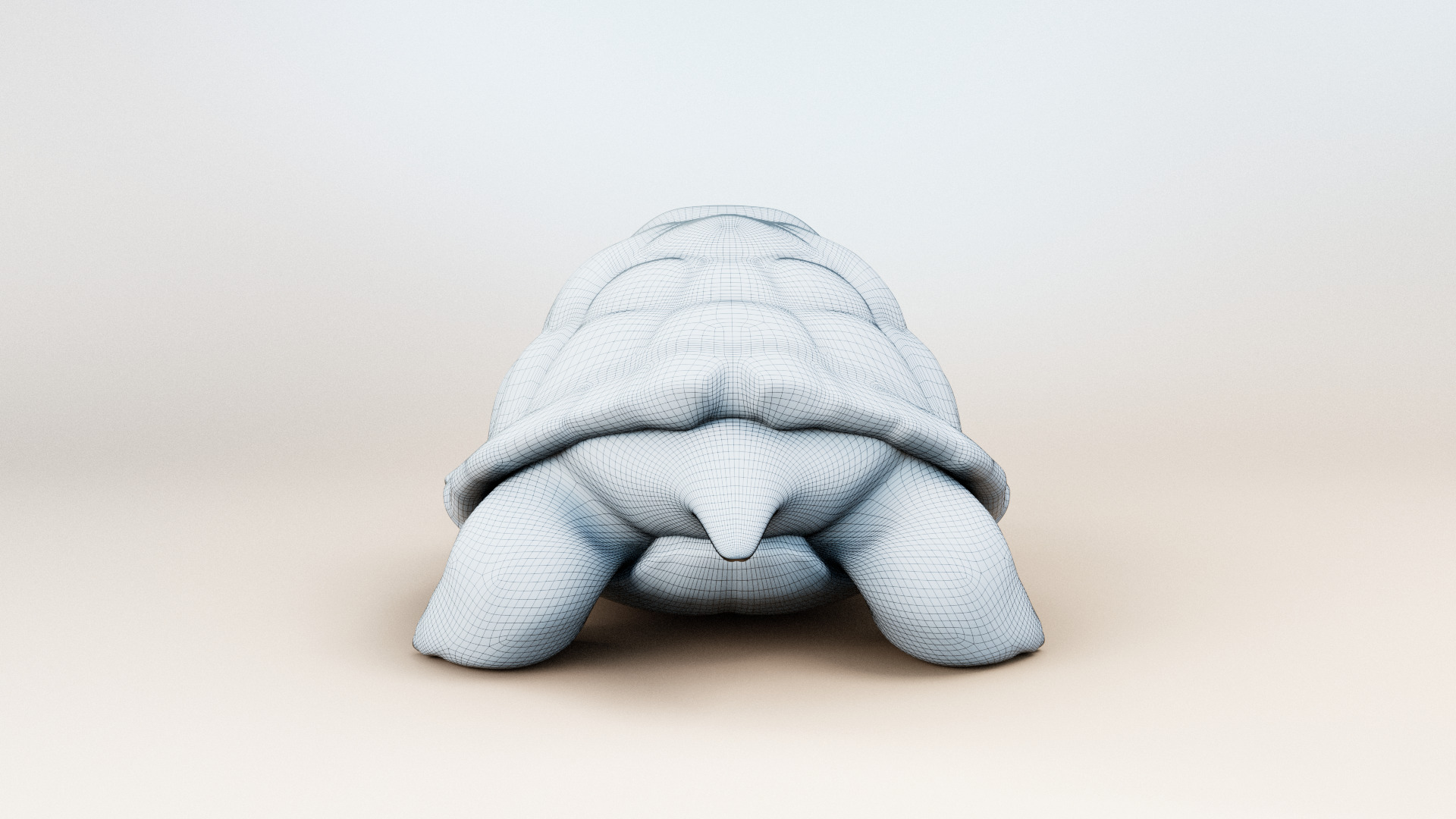 Cartoon Turtle 3d Model 3D model_8