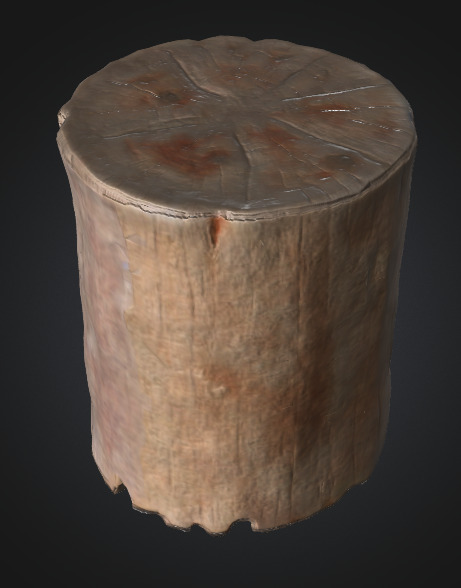 Burn Tree Stump 3D model_5