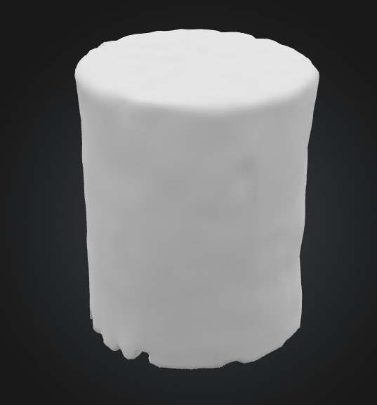 Burn Tree Stump 3D model_4