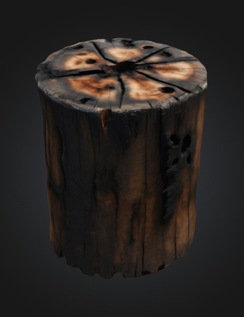 Burn Tree Stump 3D model_1
