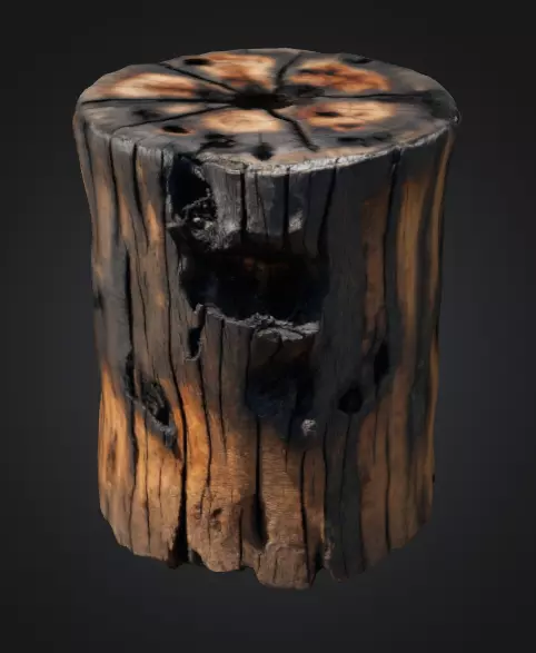 Burn Tree Stump 3D model_0