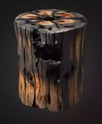 Burn Tree Stump 3D model